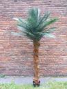 Künstliche Palme 2m